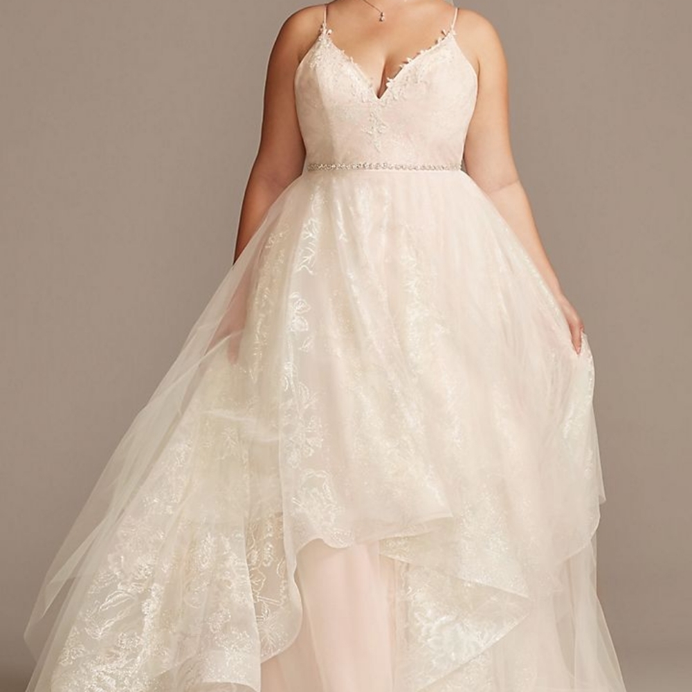 David's Bridal Wedding Dress